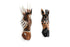 Okapi - Wooden Wall Mask